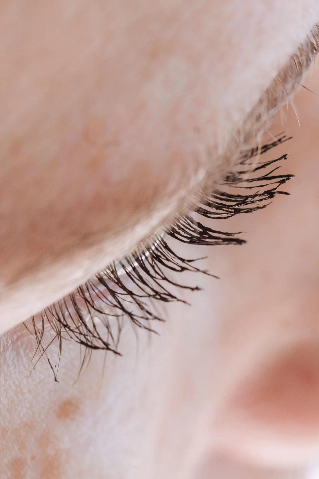 Illustration de l’article Joly Beauty : Quels sont les faux cils les plus naturels 