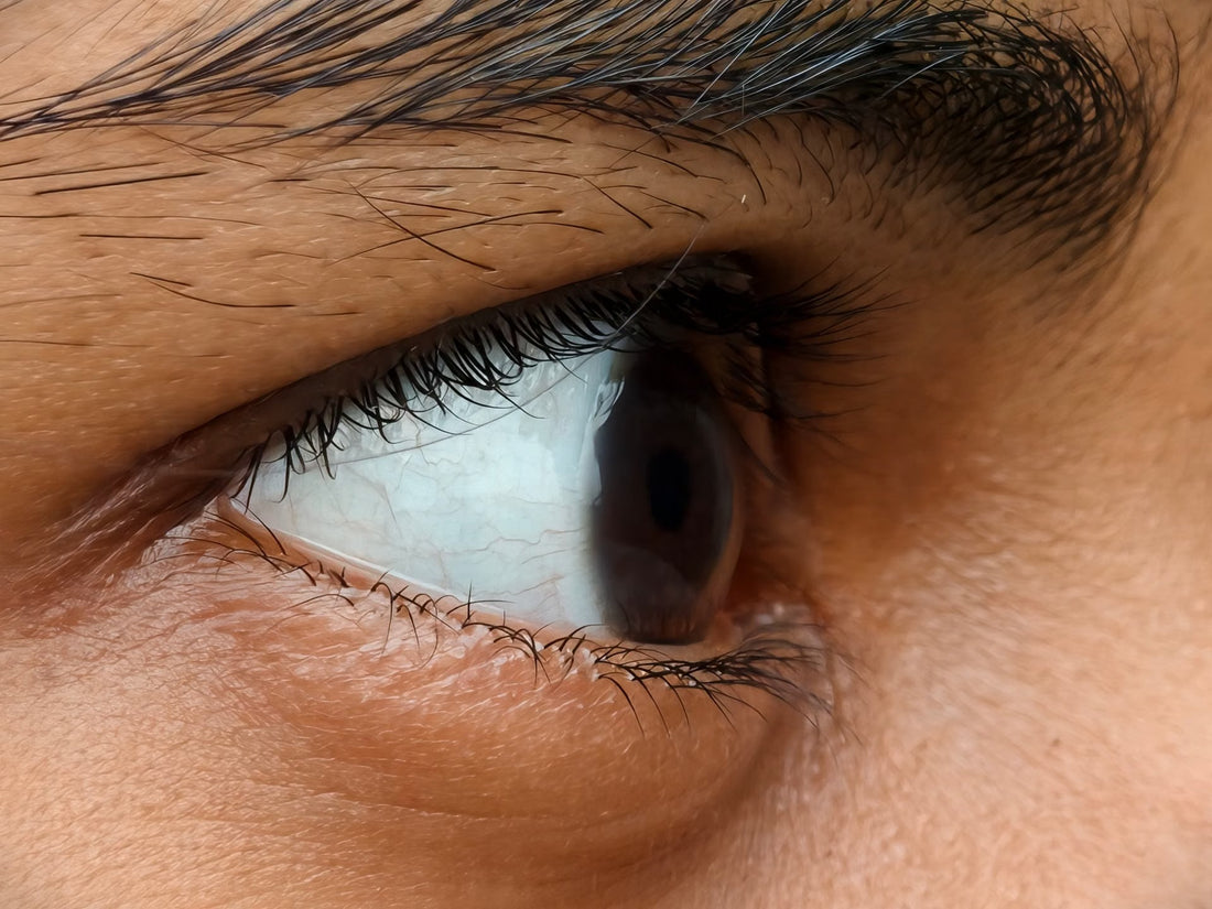 Illustration du guide Joly Beauty : Peut-on poser des faux cils sur des cils très courts 