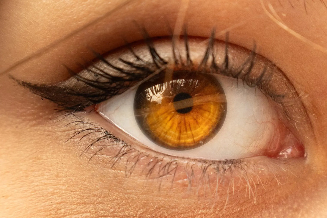 Illustration de l’article « Comment rendre la bande des faux cils invisible  » consacré aux faux cils