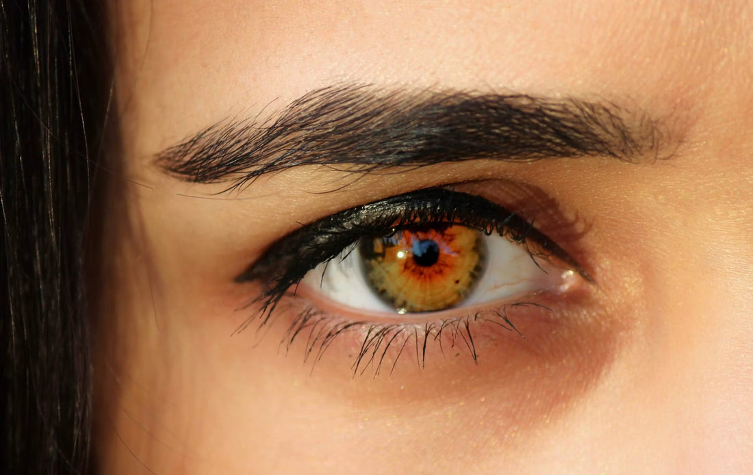 Illustration du guide Joly Beauty : Faux cils ou rehaussement de cils : que choisir 