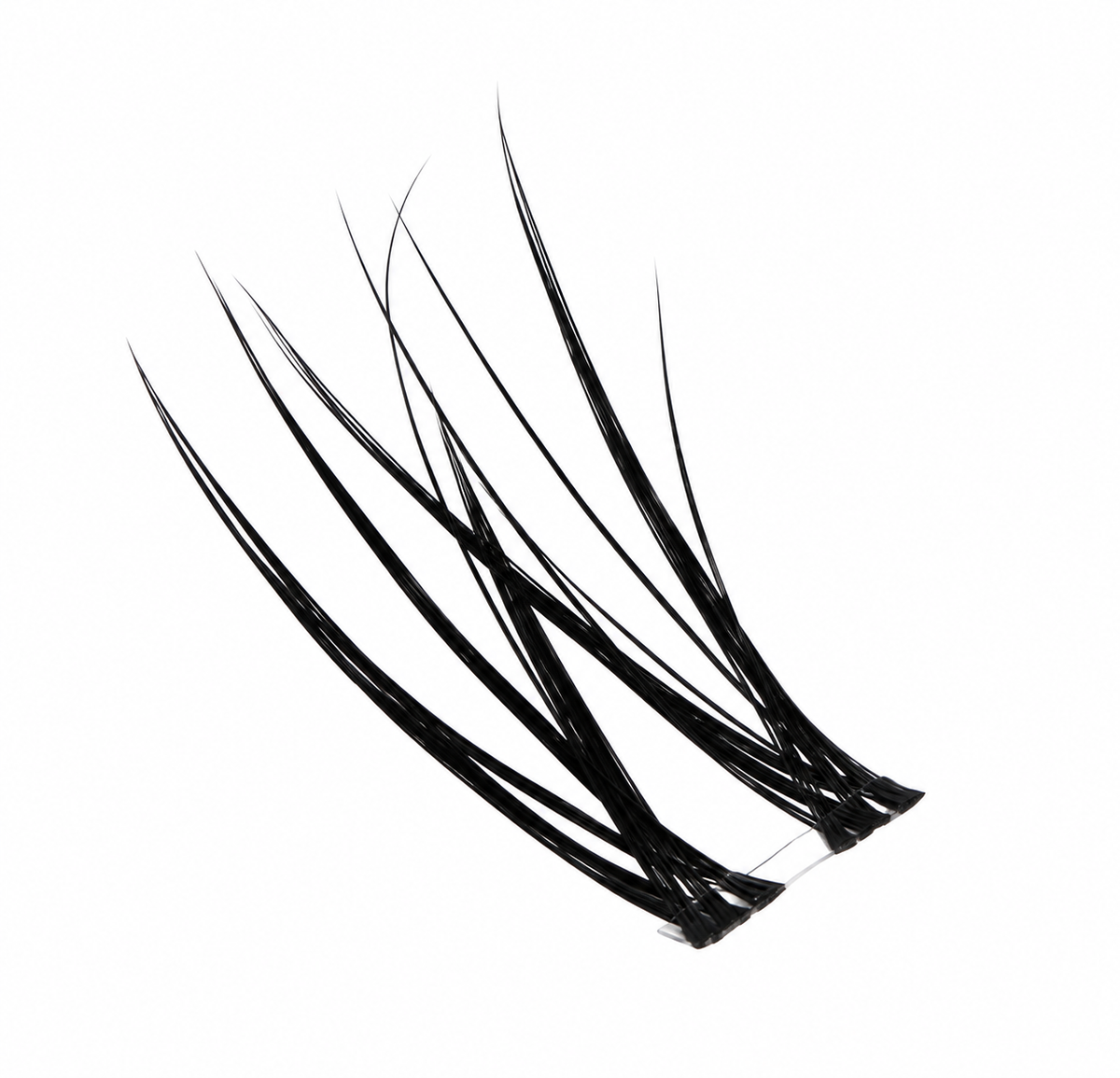 Faux Cils – Jungle Styles Joly Beauty
