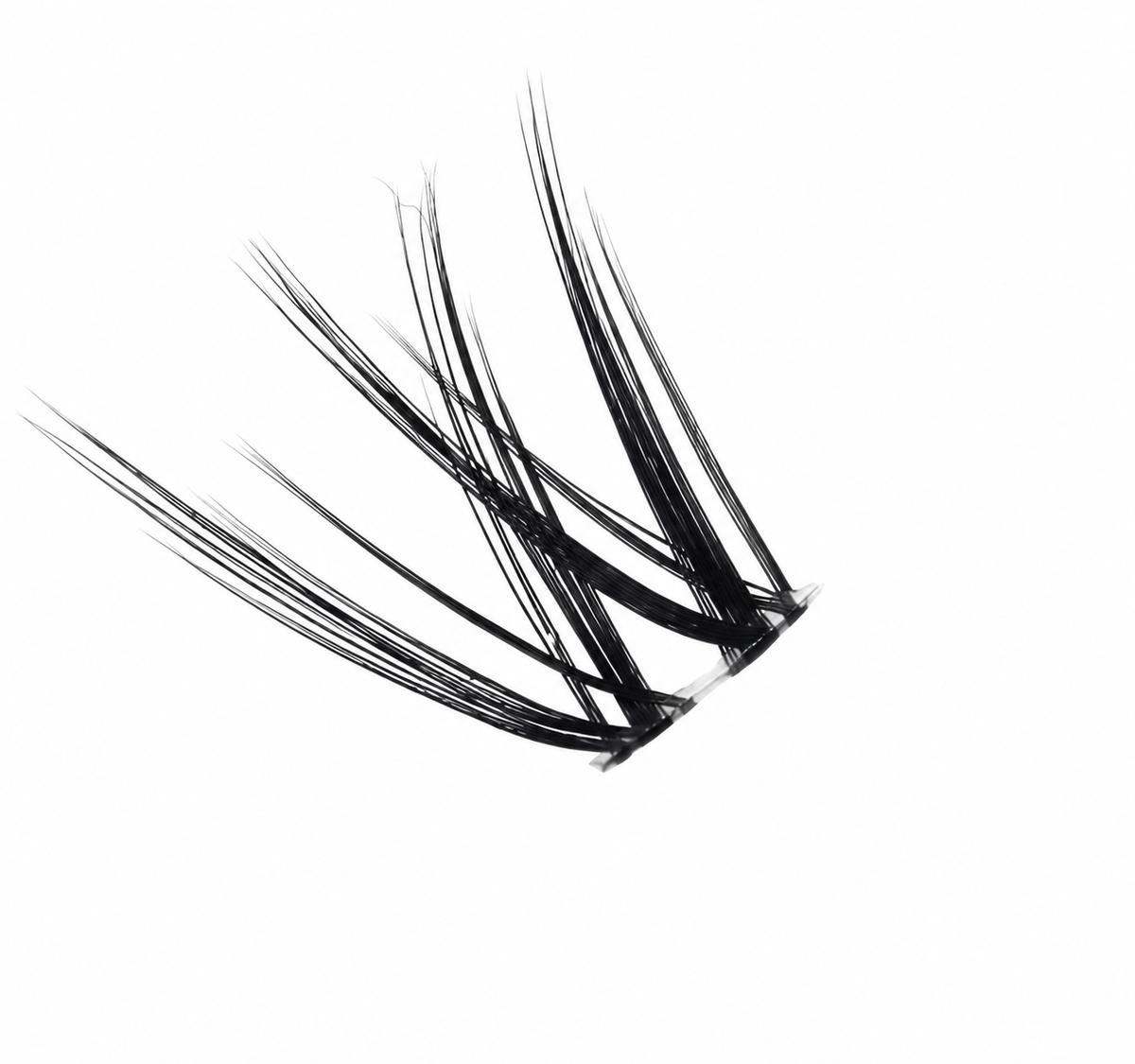 Faux Cils – Jungle Styles Joly Beauty