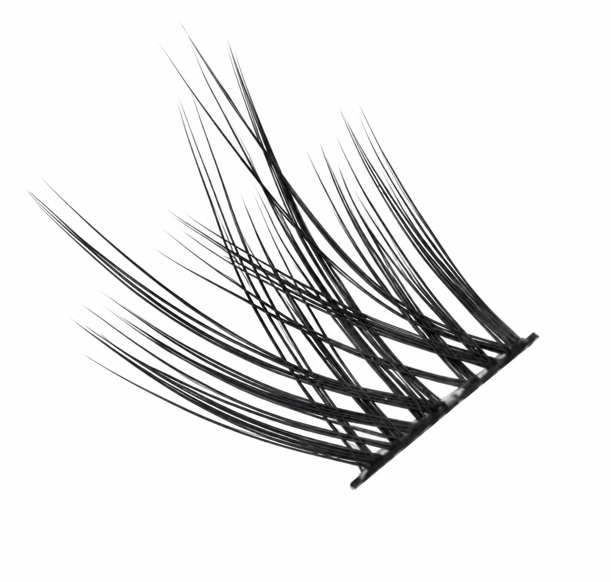 Faux Cils - Hybrid Styles Joly Beauty
